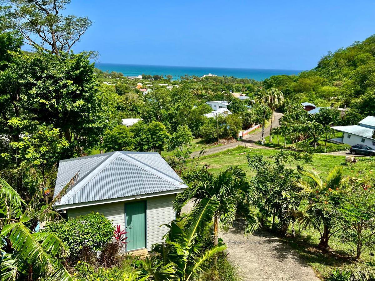 Le Surf Lodge, Chambre Avec Vue Mer Dans Un Ecrin De Verdure Deshaies Exterior foto