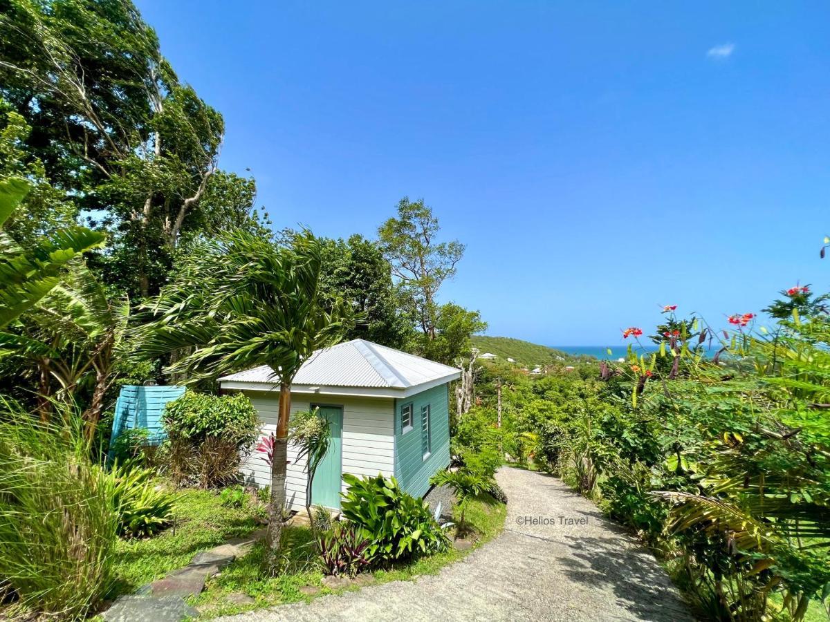 Le Surf Lodge, Chambre Avec Vue Mer Dans Un Ecrin De Verdure Deshaies Exterior foto