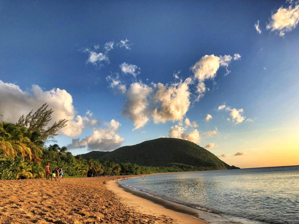 Le Surf Lodge, Chambre Avec Vue Mer Dans Un Ecrin De Verdure Deshaies Exterior foto
