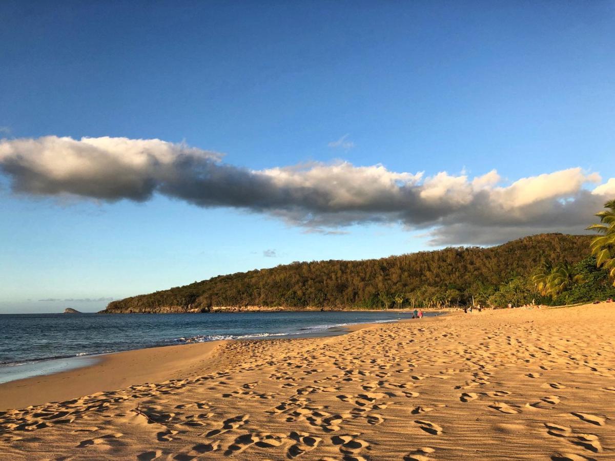 Le Surf Lodge, Chambre Avec Vue Mer Dans Un Ecrin De Verdure Deshaies Exterior foto